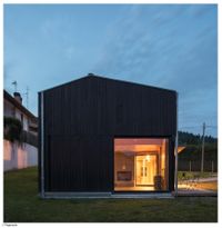 Ide Termotratado negro 2